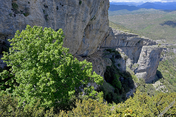 Faja del Balcez superior