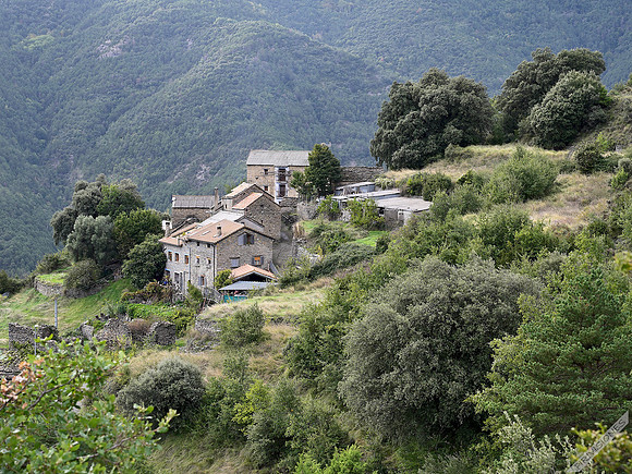 Cortalaviña