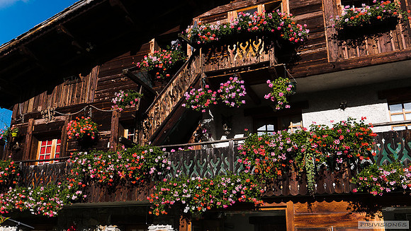 Las flores de la Gîte La Montagne