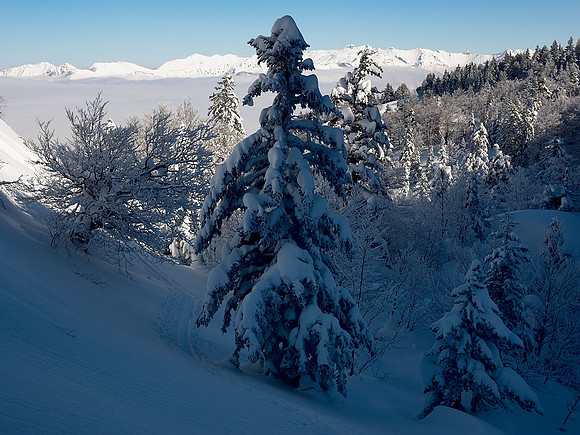 Abetos y hayas del Bois de Petraube repletos de nieve