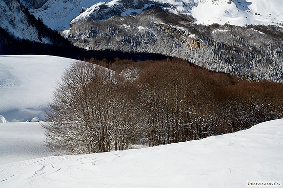 Invierno en los bosques de Somport y Sansanet