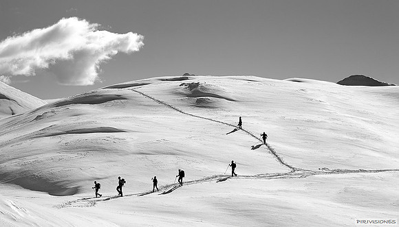 Caminos divergentes