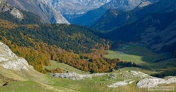 La Gave de Bious en Otoño