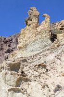 Buitre de roca