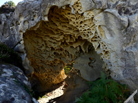 Geoformas alveolares III