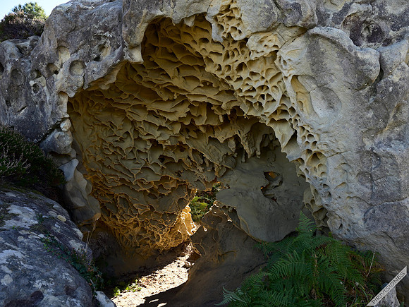 Geoformas alveolares III