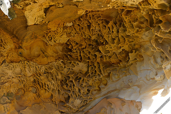 Geoformas alveolares I