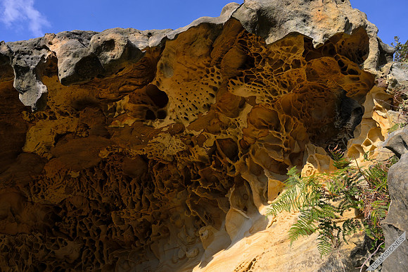 Geoformas alveolares II