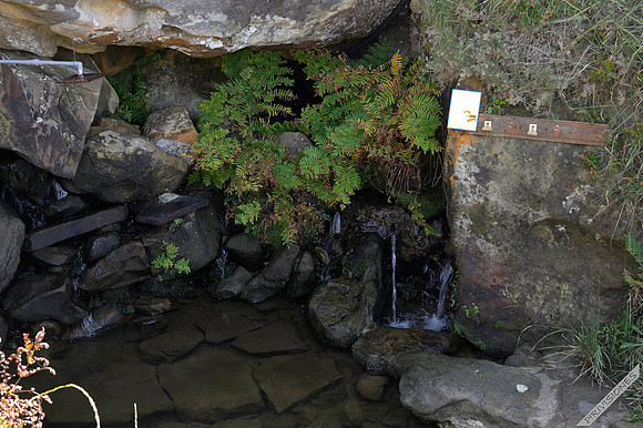 La Fuente de Akarregui
