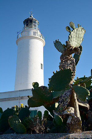El faro y la chumbera