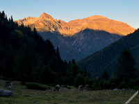 Atardece en Fuesa y Suelza